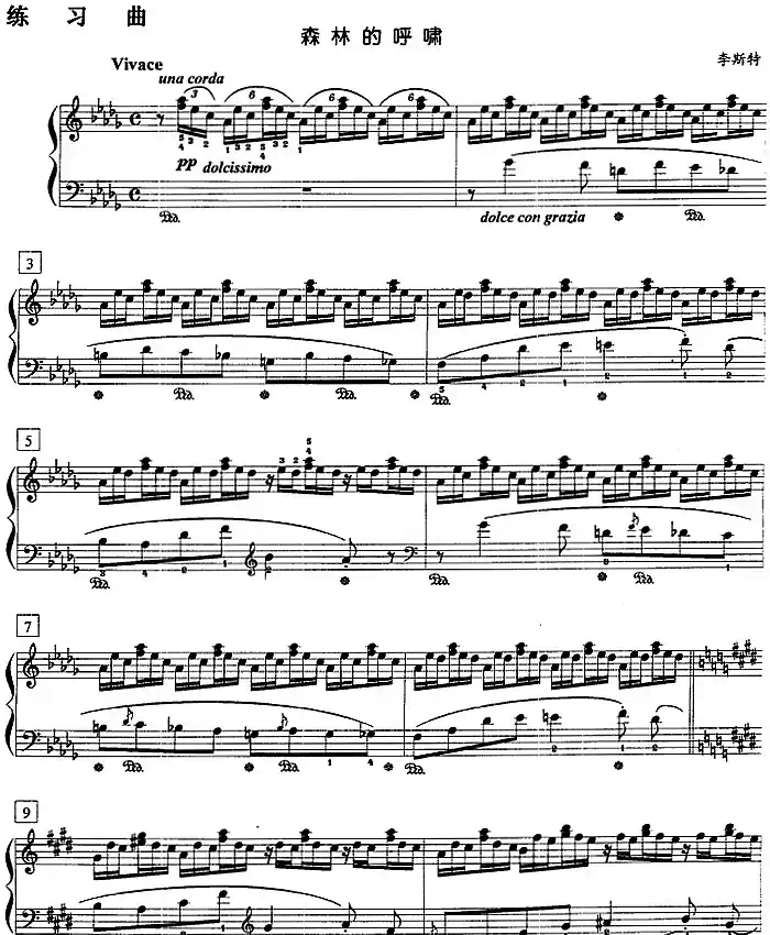 钢琴教程第八级 练习曲（森林的呼啸）