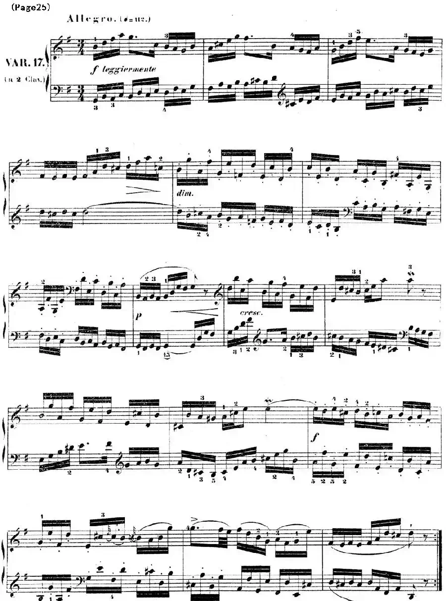 哥德堡变奏曲 巴赫 Goldberg Variationen BWV988