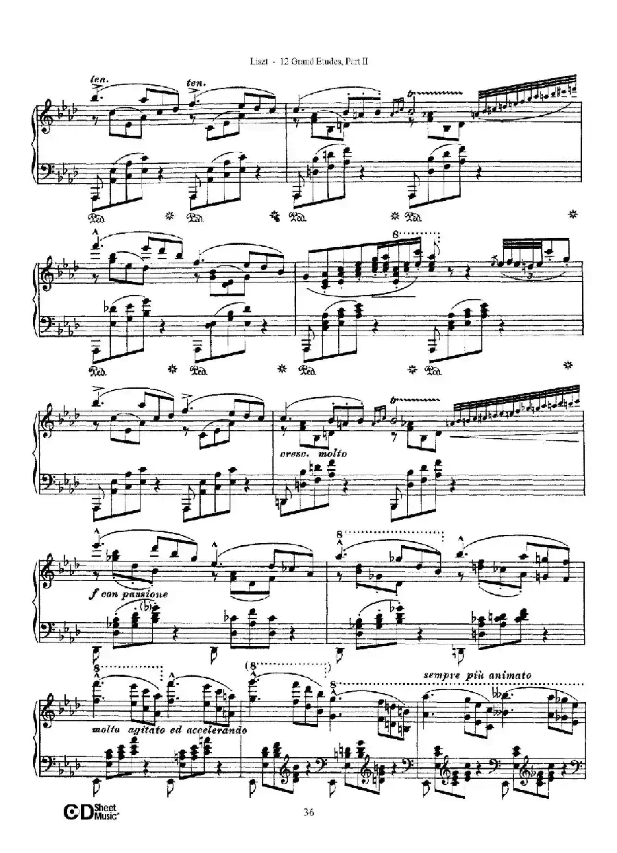 12 Grand Etudes S.137（12首华丽的练习曲·9）
