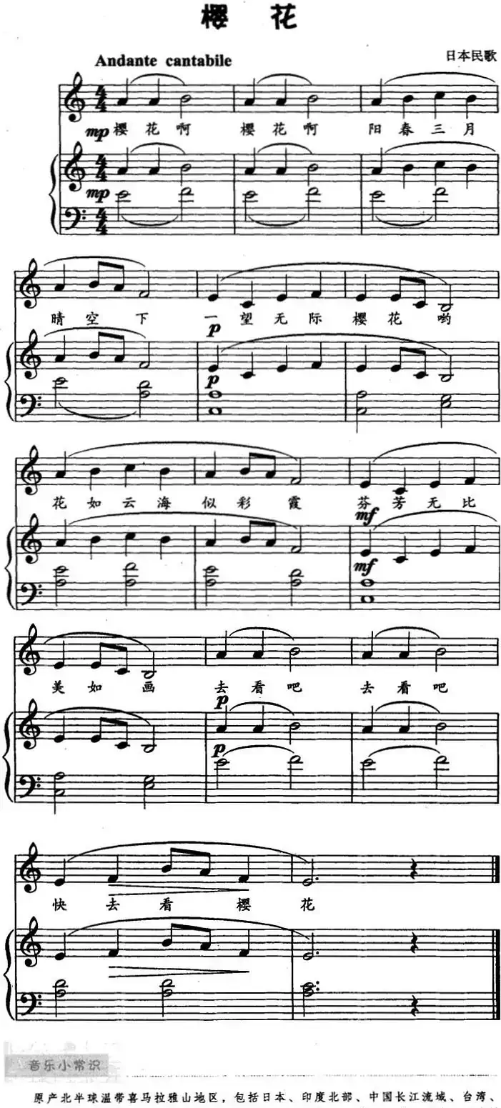 樱花（儿歌弹唱）