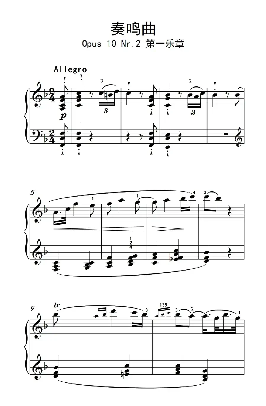 奏鸣曲 Opus 10 Nr.2 第一乐章（贝多芬奏鸣曲集 2）