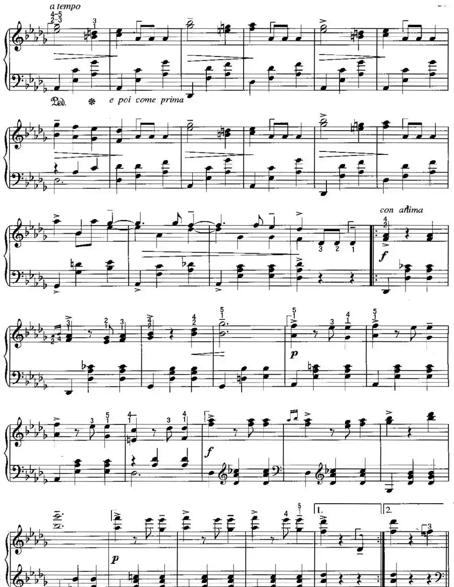 不可不弹的世界钢琴名曲：辉煌的大圆舞曲