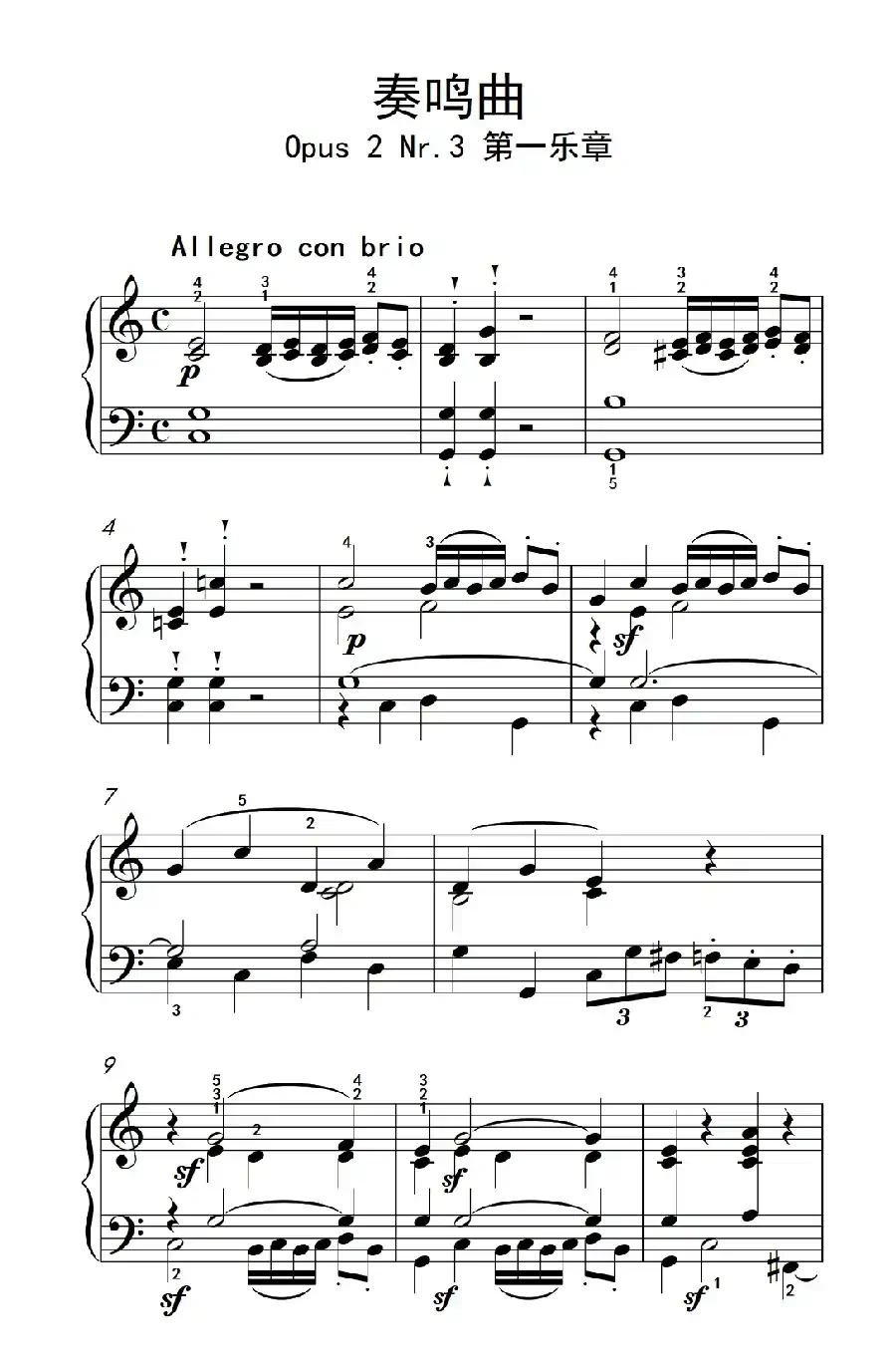 奏鸣曲 Opus 2 Nr.3 第一乐章(贝多芬奏鸣曲集 1)