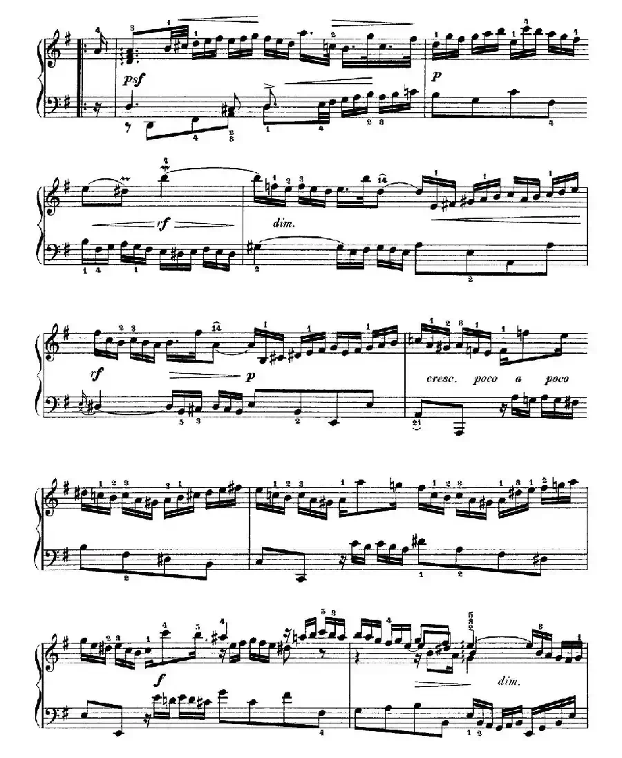 Six Partitas BWV 825-830（6首帕蒂塔·5）