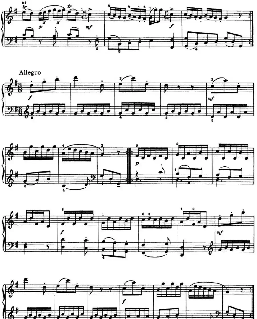 海顿 钢琴奏鸣曲 Hob XVI 8 Divertimento G major