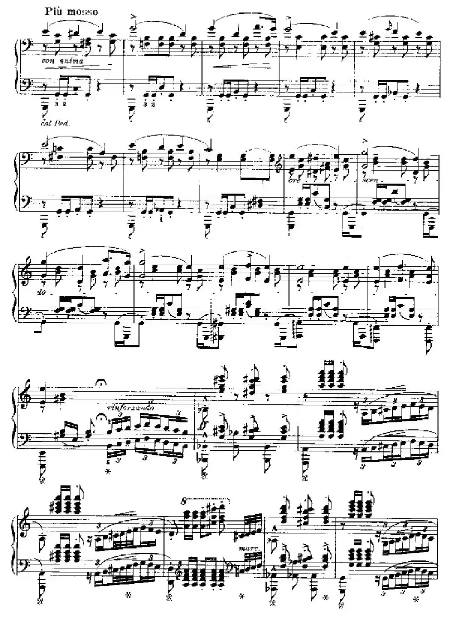 Two Polonaises S.223（2首波洛奈兹舞曲·c小调）