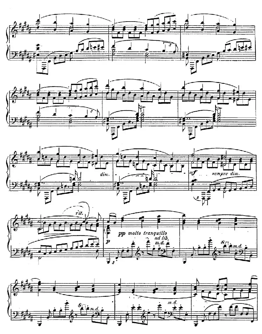 Nocturne Fantasie Op.20（幻想夜曲）