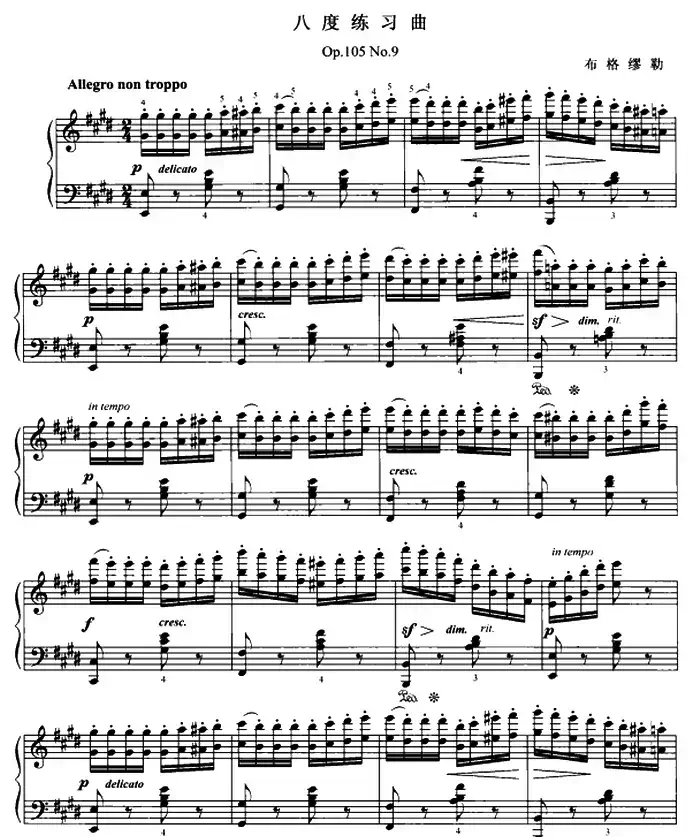 布格缪勒八度练习曲（Op.105 No.9）