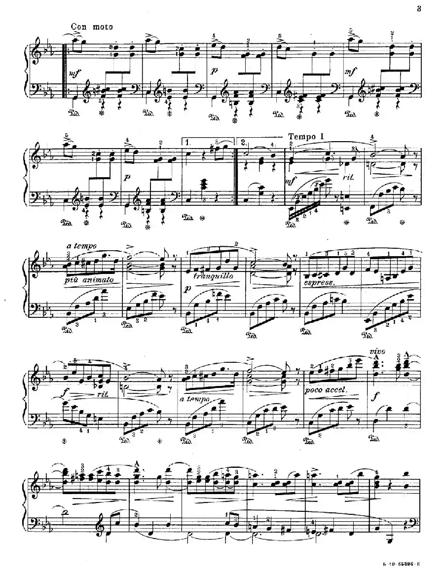 Valse Caprice in E-flat Major Op.53（降E大调随想圆舞曲）