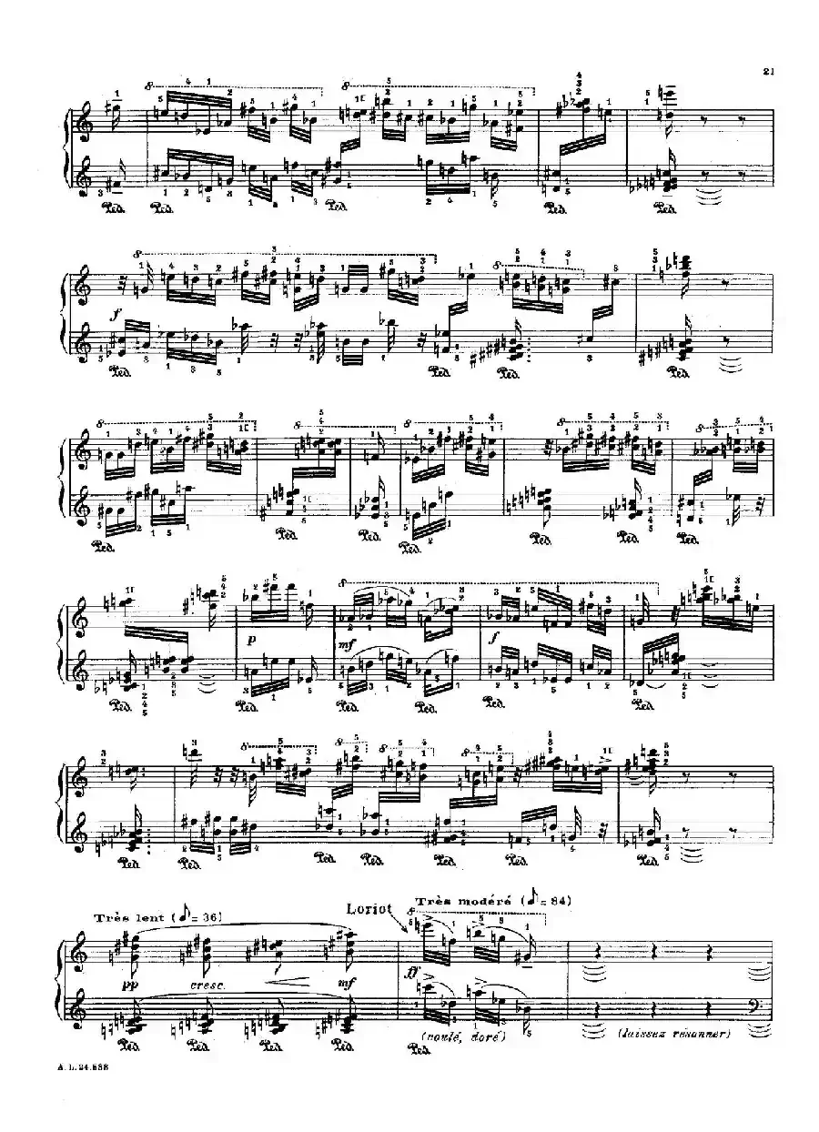 La Fauvette des Jardins（园林莺）