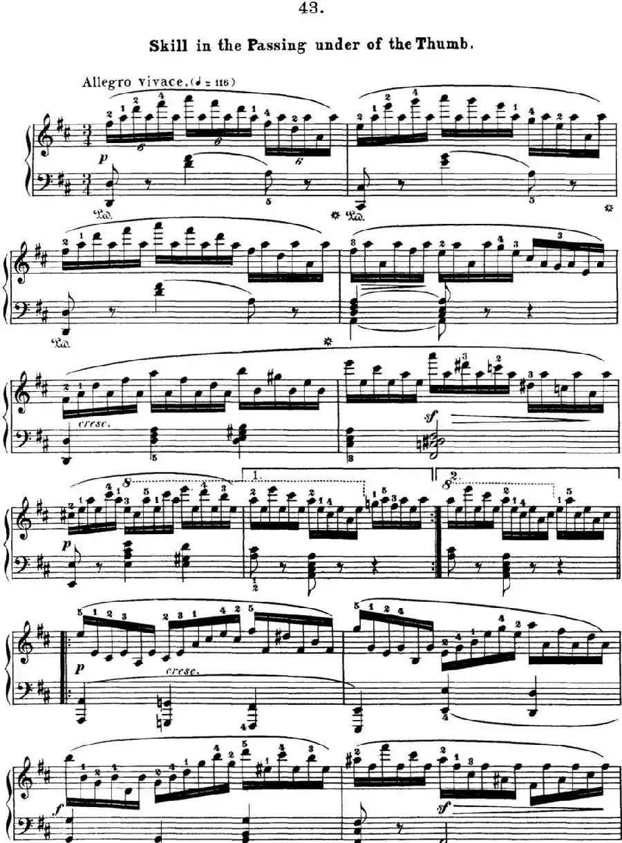 50首车尔尼Op.740钢琴手指灵巧技术练习曲（NO.43）