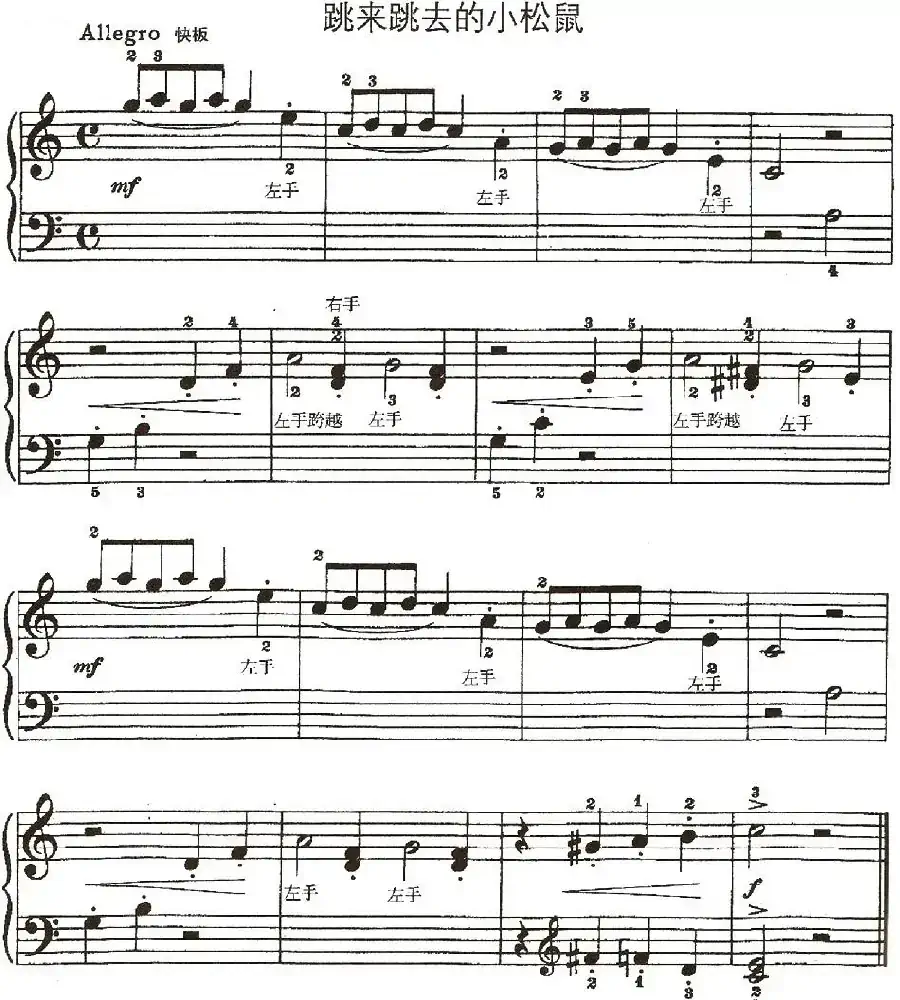 跳来跳去的小松鼠