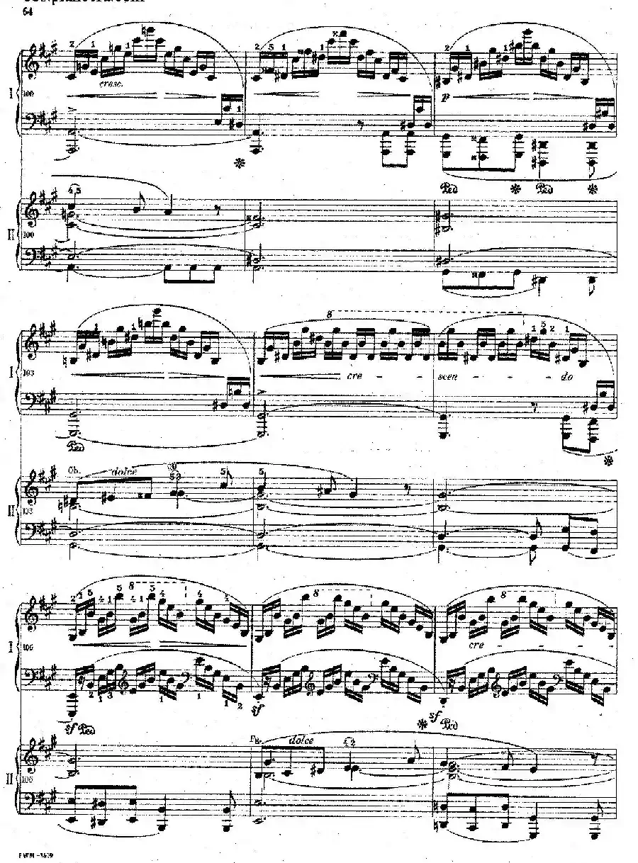 Grand Fantasy on Polish Airs Op.13（华丽的波兰民歌幻想曲·双钢琴版）