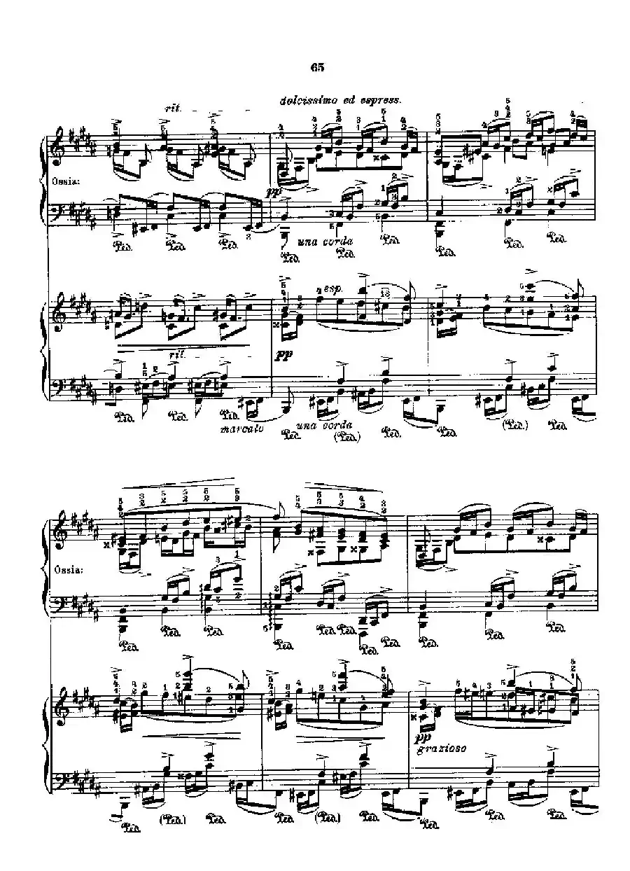 53首以肖邦练习曲为素材而作的练习曲（No.29）