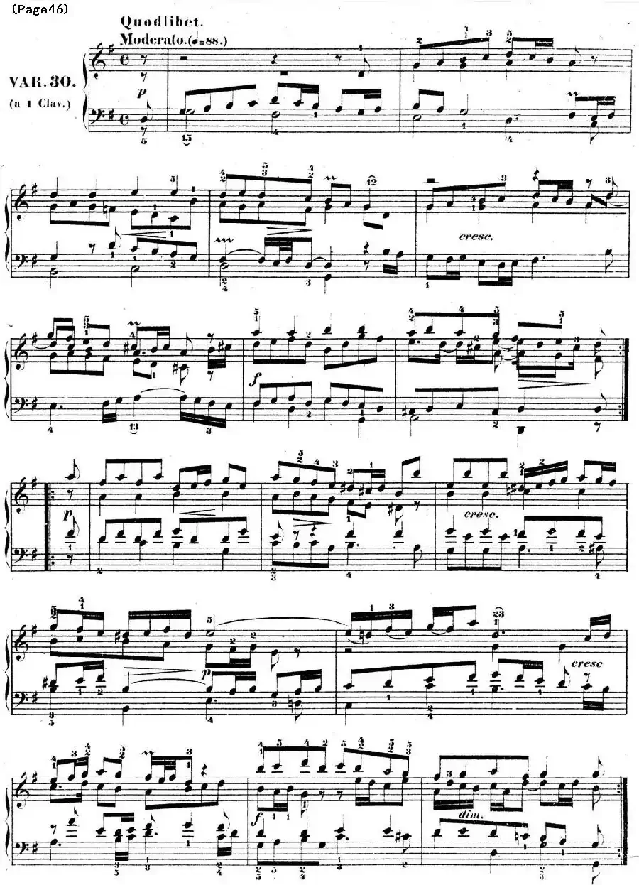 哥德堡变奏曲 巴赫 Goldberg Variationen BWV988