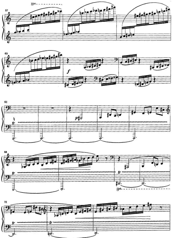 克劳斯的鸟(雨燕)