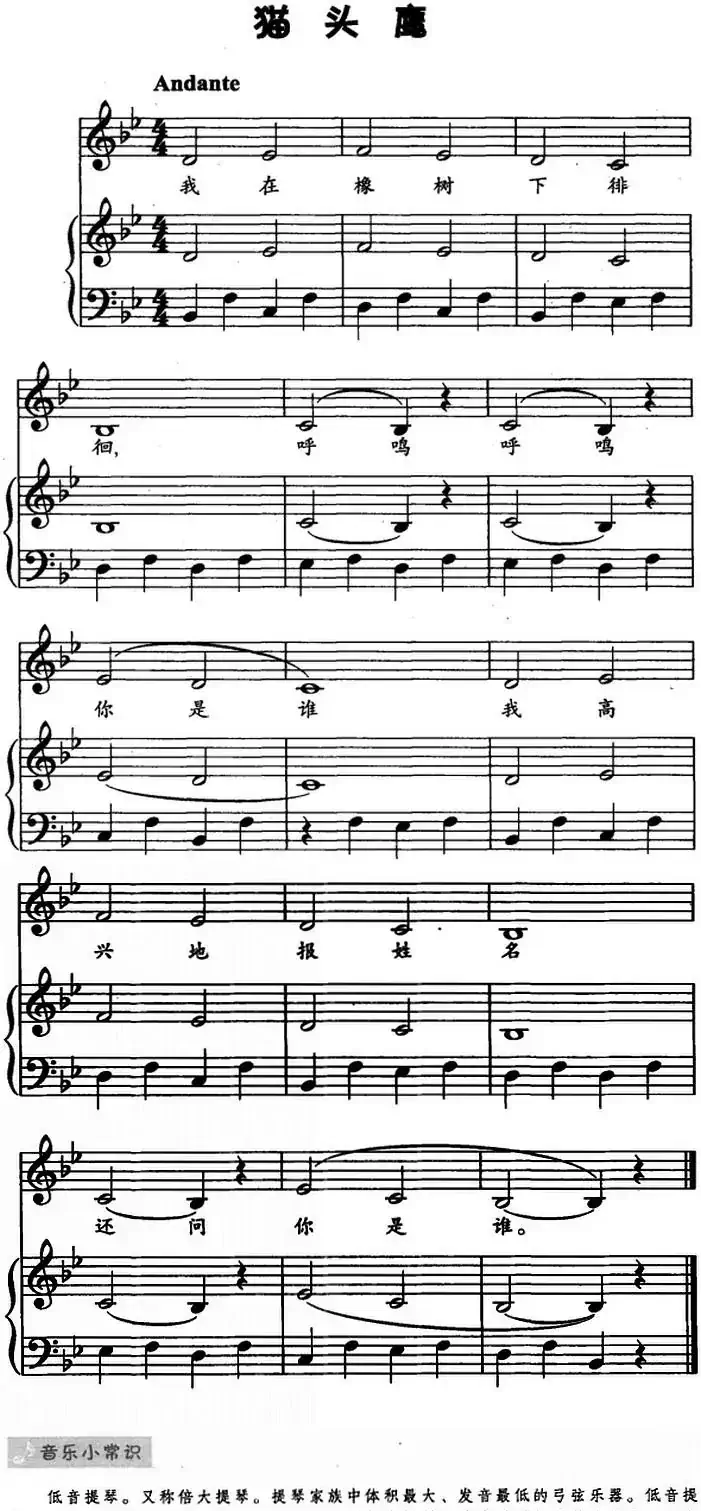 猫头鹰（儿歌弹唱）