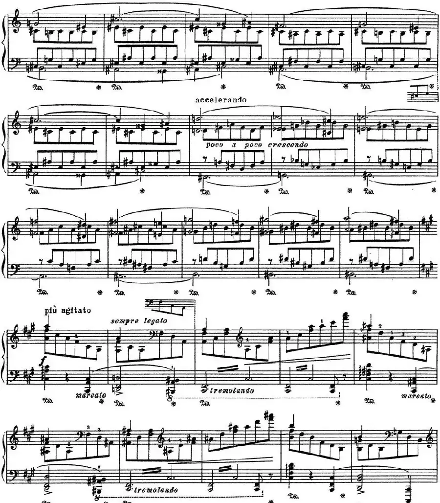 李斯特 旅游岁月 第三集 S.163 No.2 艾斯特庄园的绿柏1