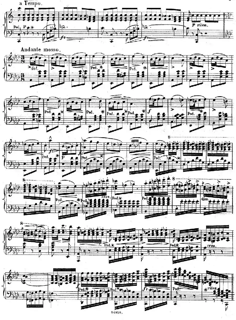 Bouquet de Melodies（茶花女幻想曲）