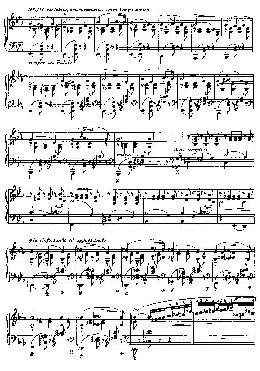 Two Polonaises S.223（2首波洛奈兹舞曲·c小调）