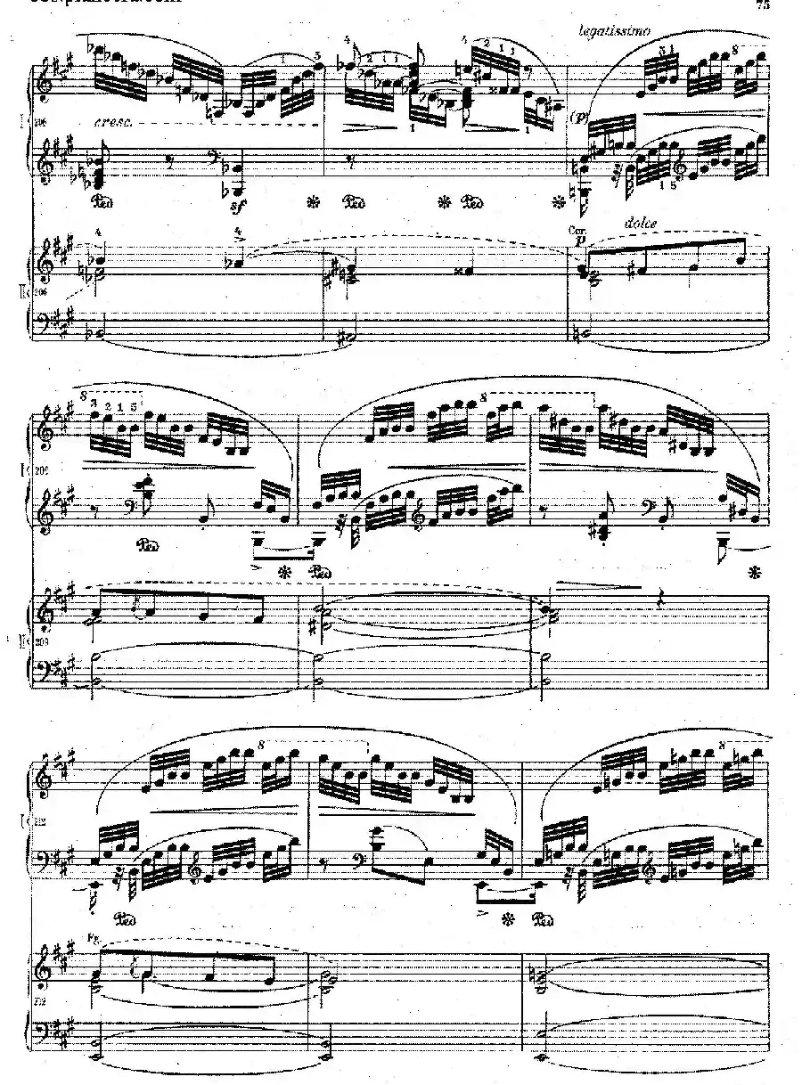 Grand Fantasy on Polish Airs Op.13（华丽的波兰民歌幻想曲·双钢琴版）