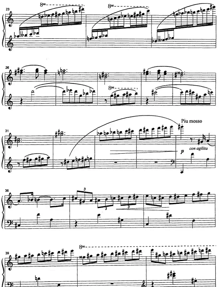 克劳斯的鸟(雨燕)