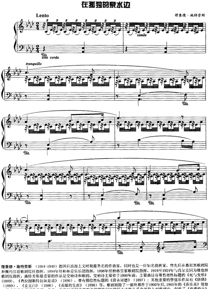 现代钢琴曲：16、在孤独的泉水边