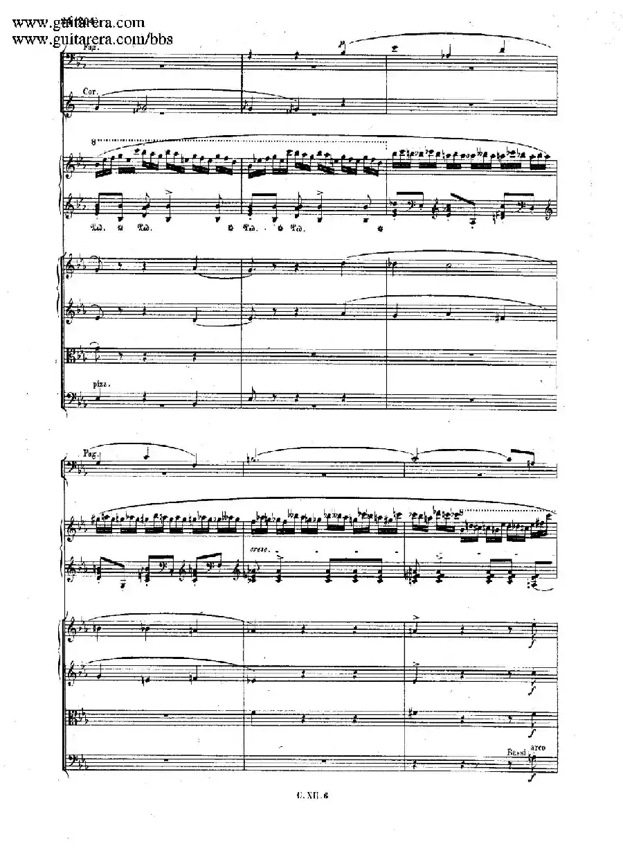 Grande Polonaise Brilliante Preceded by an Andante Spianato Op.22（平静的行板与华丽的波兰舞曲·总谱）