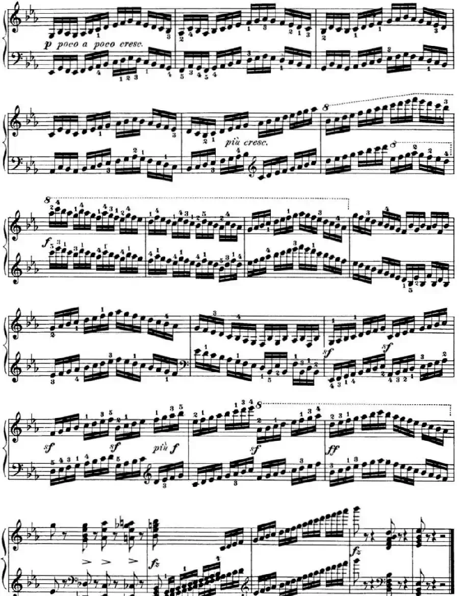 50首车尔尼Op.740钢琴手指灵巧技术练习曲(NO.5)