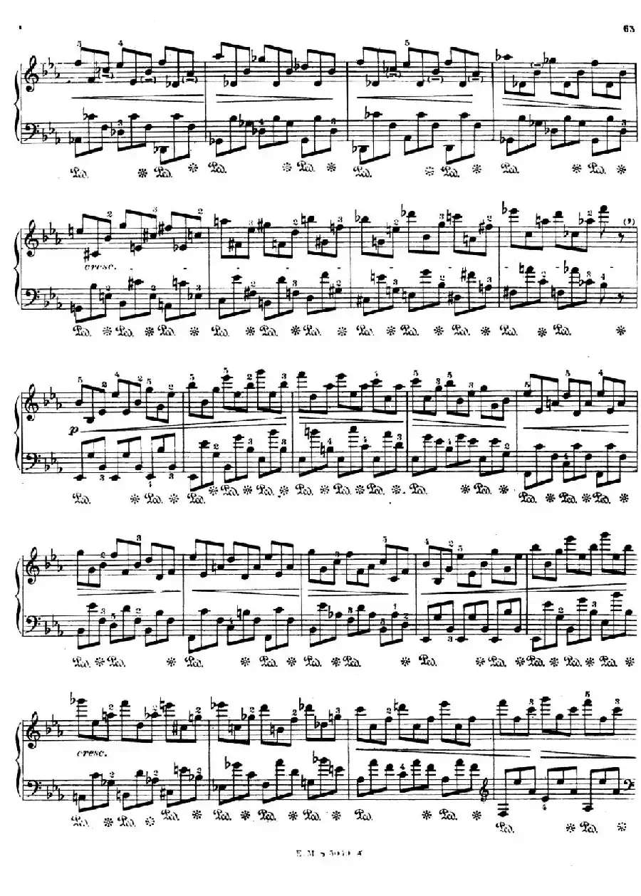 Preludes Op.28（24首前奏曲·19）