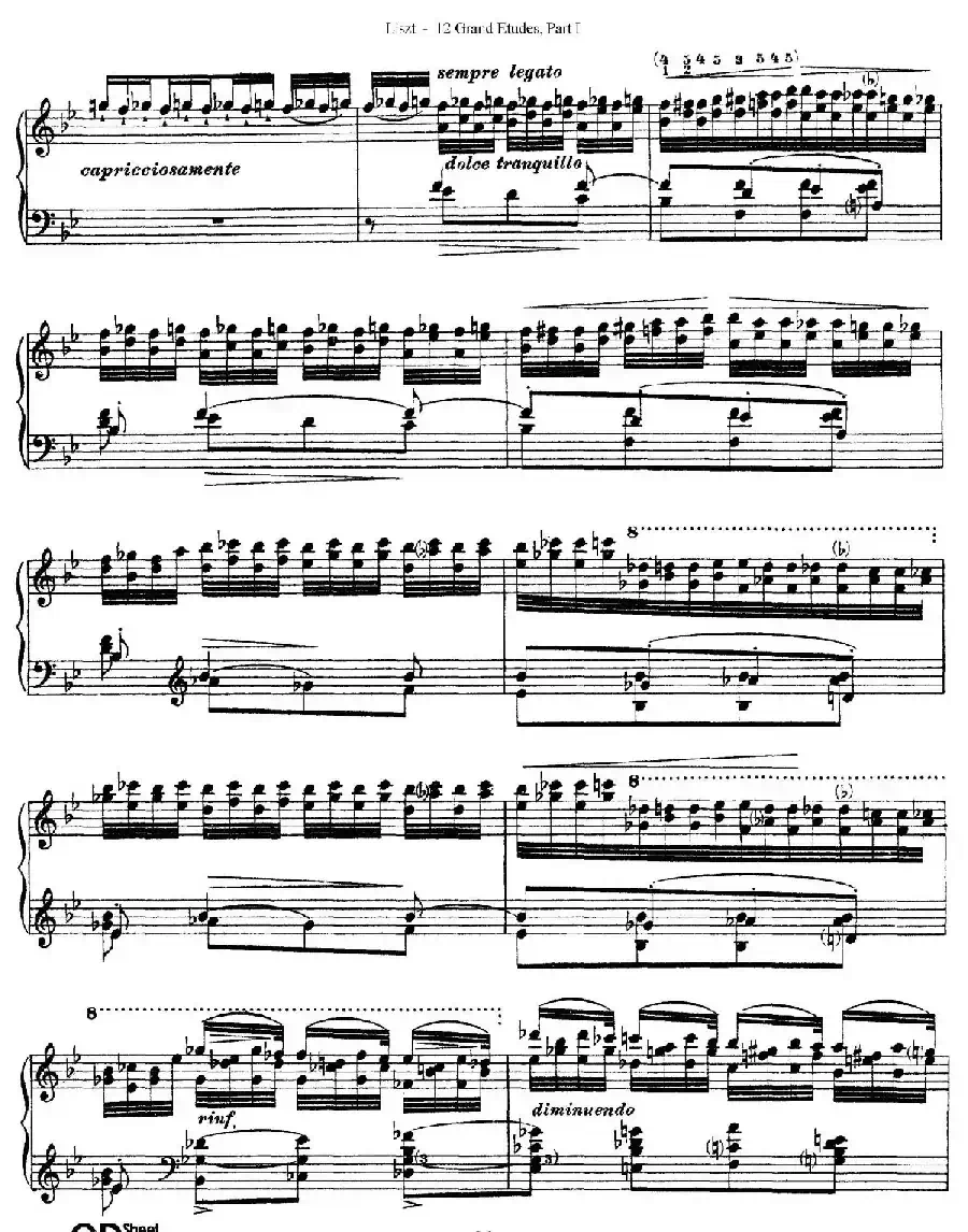 12 Grand Etudes S.137（12首华丽的练习曲·5）