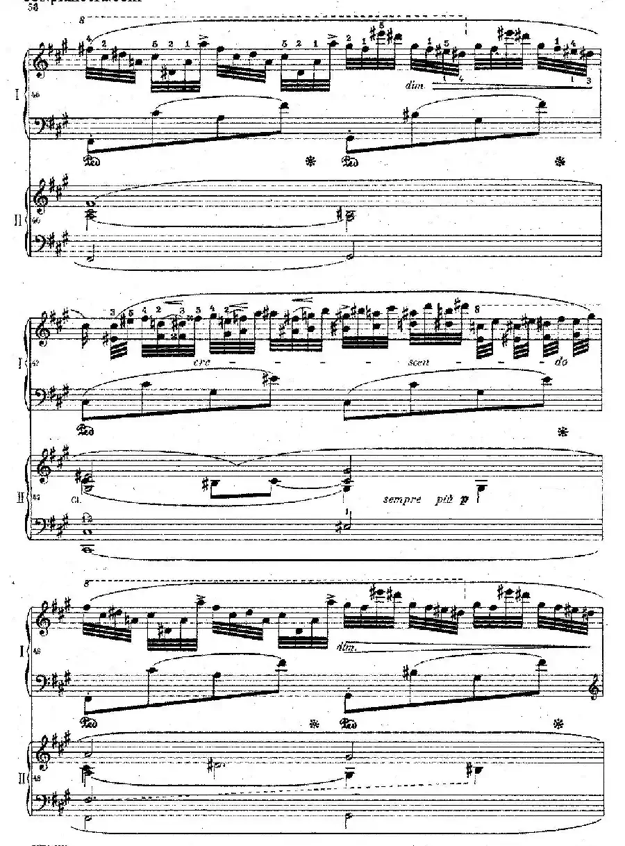 Grand Fantasy on Polish Airs Op.13（华丽的波兰民歌幻想曲·双钢琴版）