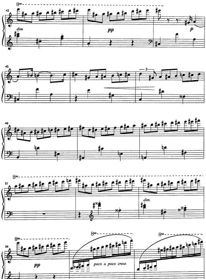 克劳斯的鸟(雨燕)