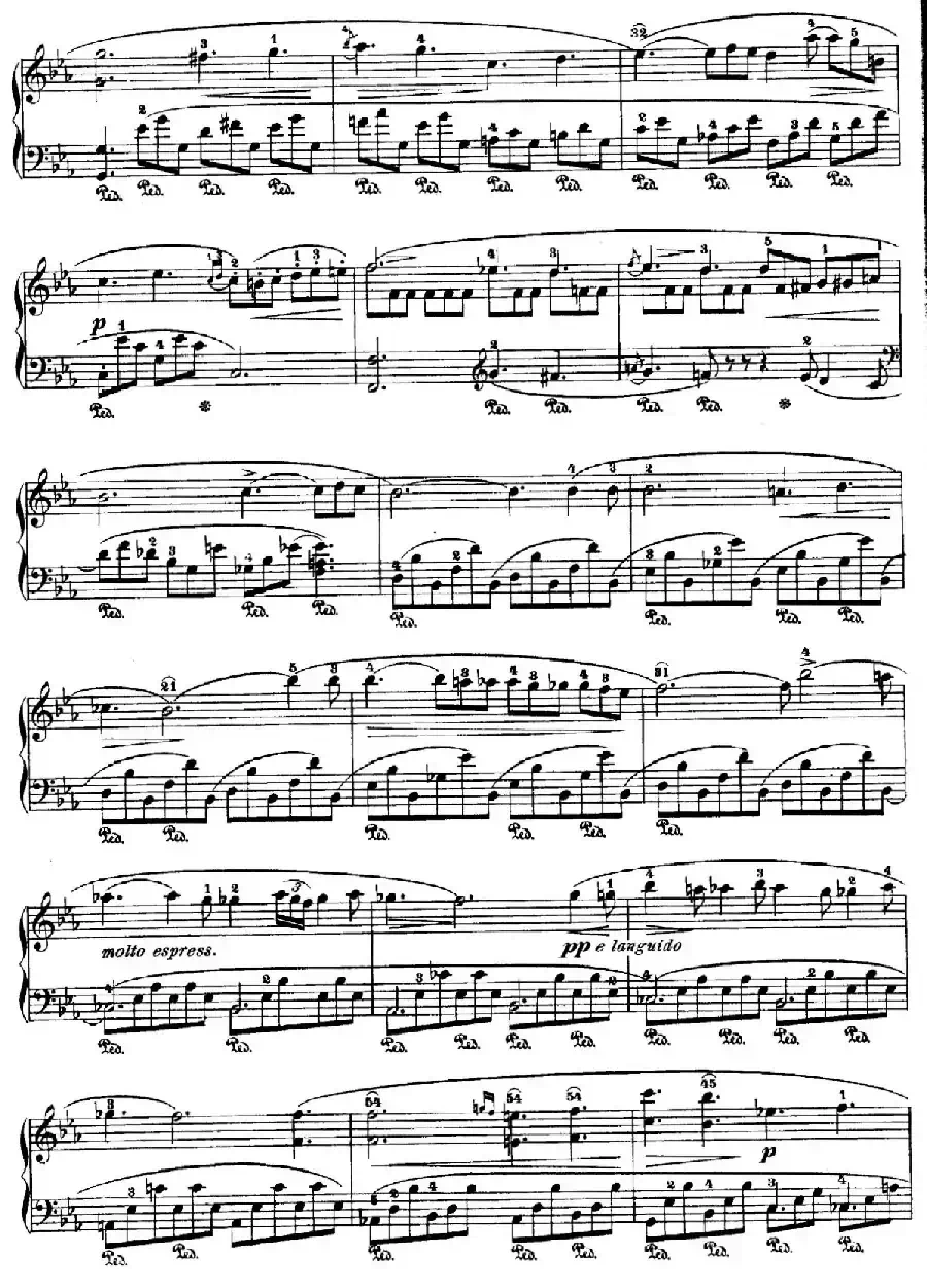 Nocturne No.11 in E-flat Major （降E大调第十一号夜曲）