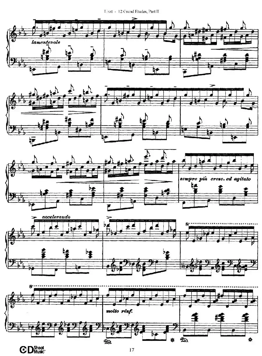 12 Grand Etudes S.137（12首华丽的练习曲·8）