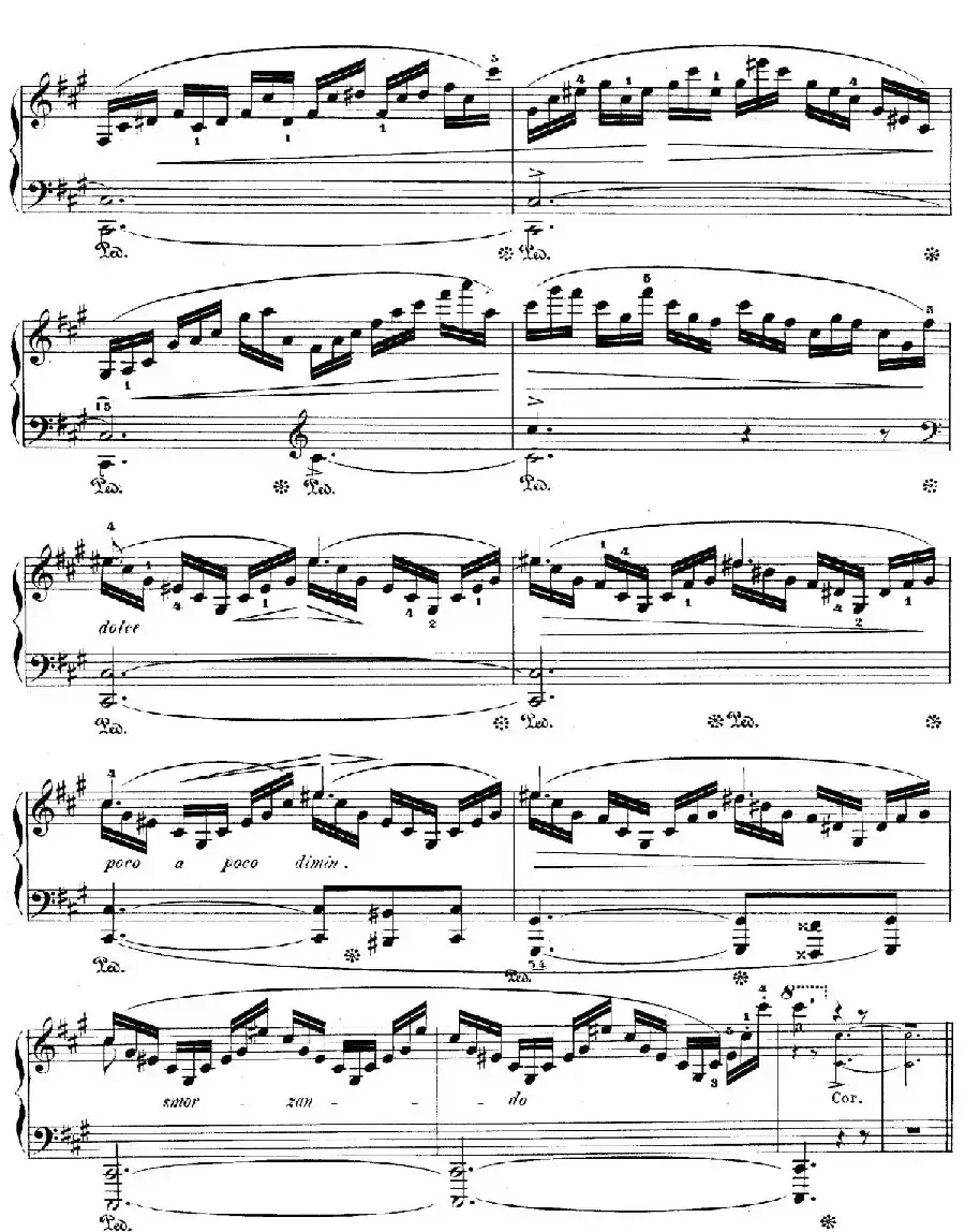 Grand Fantasy on Polish Airs Op.13（华丽的波兰民歌幻想曲·钢琴独奏版）