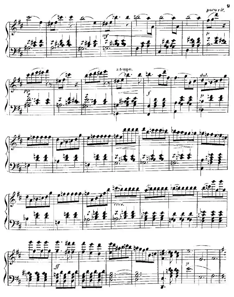 柠檬树花开的地方圆舞曲