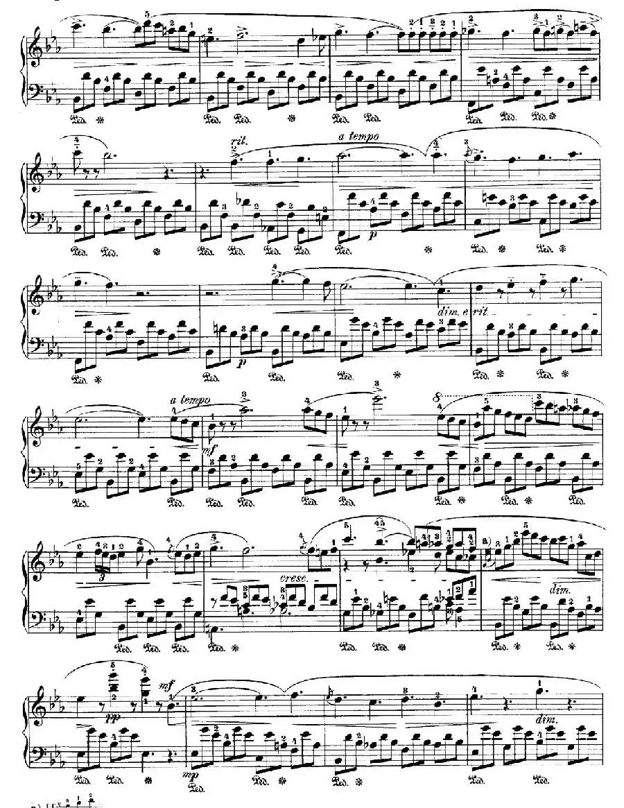 Nocturne No.1 in E-flat Major（降E大调第一号夜曲）