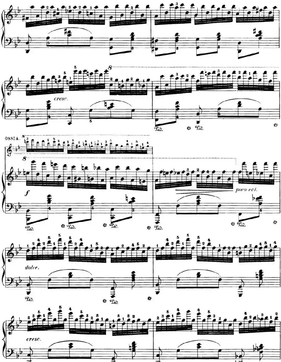 50首车尔尼Op.740钢琴手指灵巧技术练习曲(NO.19)