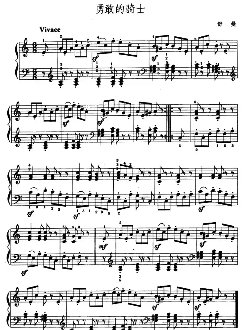 勇敢的骑士