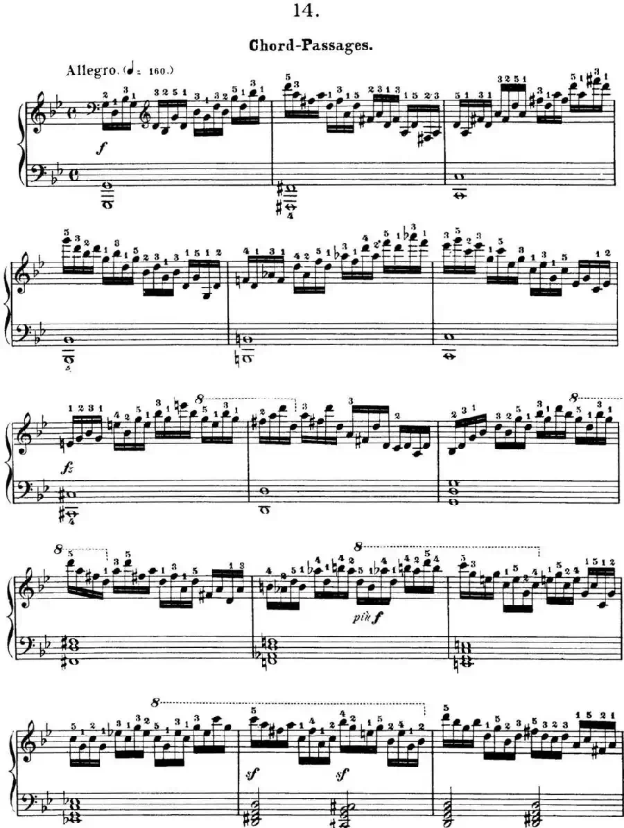 50首车尔尼Op.740钢琴手指灵巧技术练习曲（NO.14）