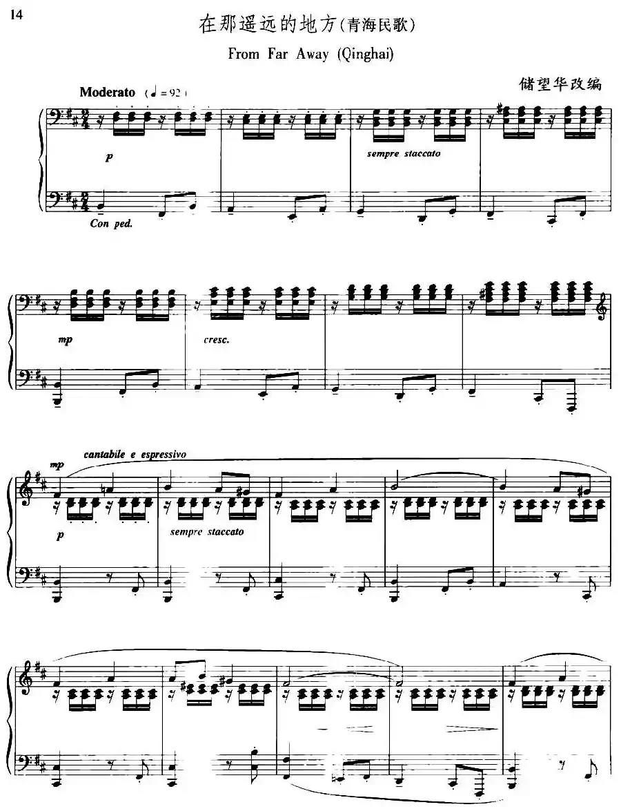 在那遥远的地方（储望华改编版）