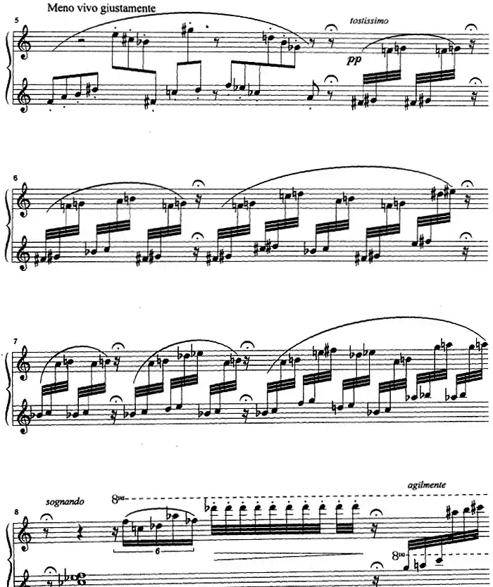 克劳斯的鸟(小鹦鹉)