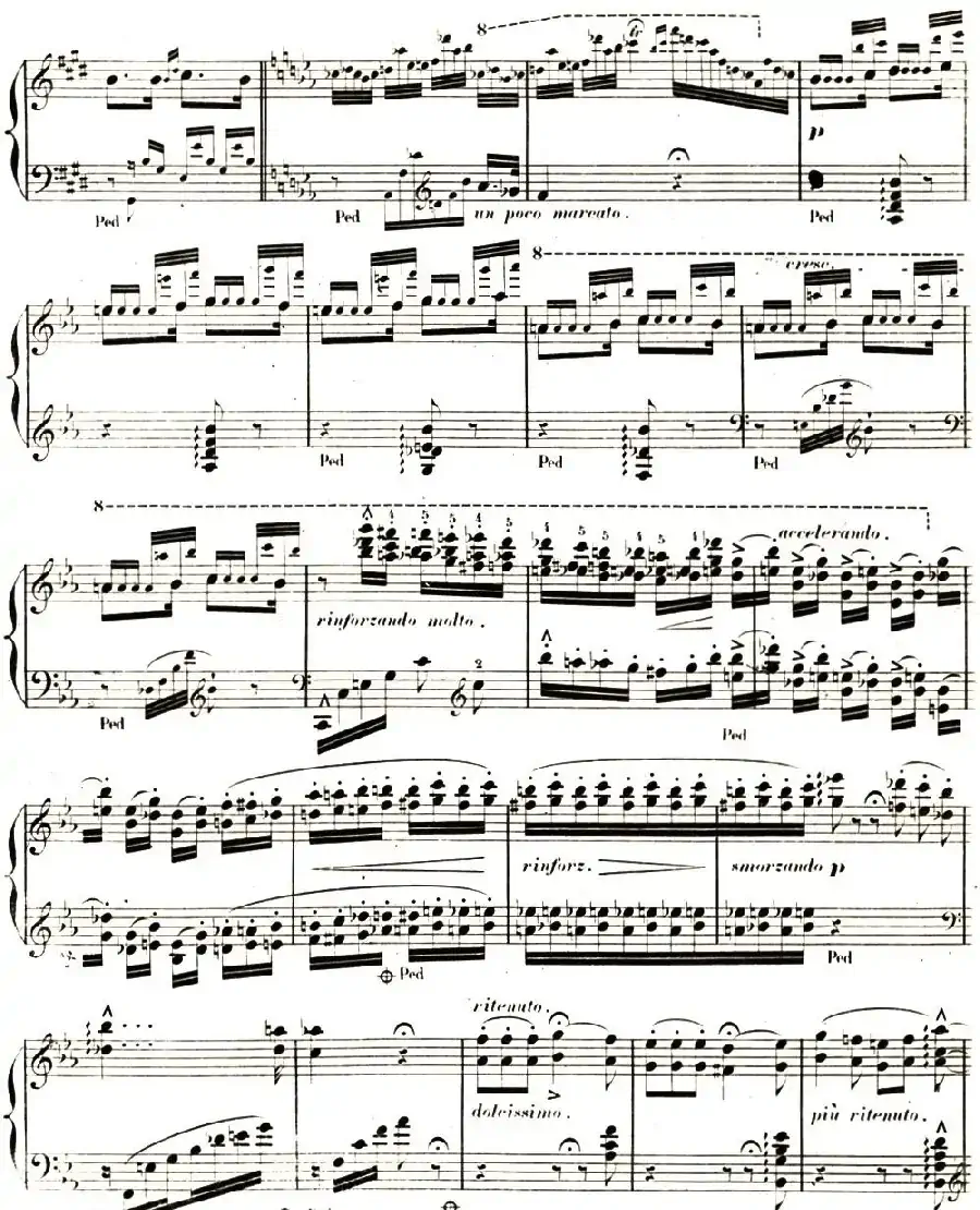 李斯特 旅游岁月 第二集遗补 威尼斯和拿波里 S.162 No.3 塔兰泰拉舞曲