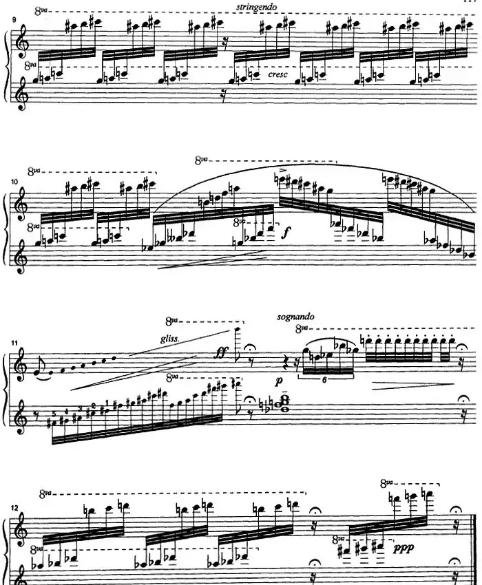 克劳斯的鸟(小鹦鹉)