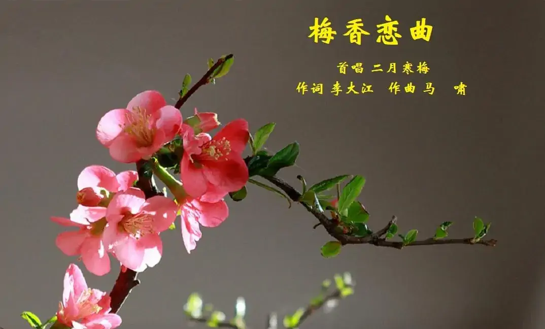 梅香恋曲