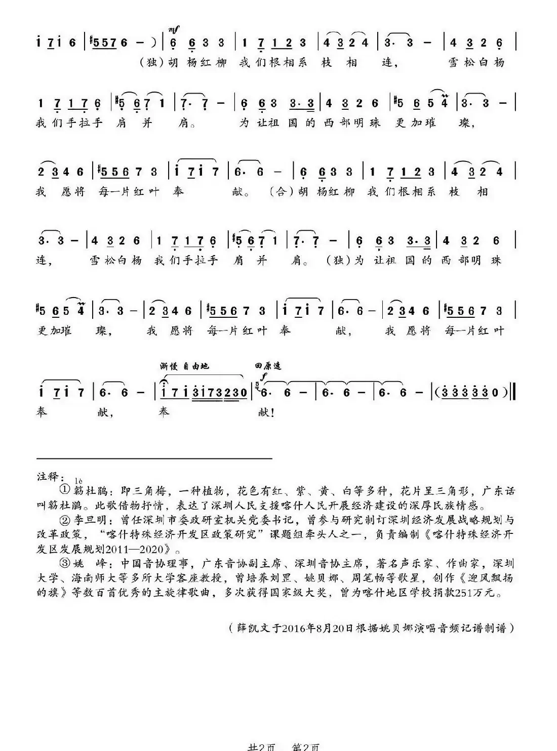 我是一棵簕杜鹃