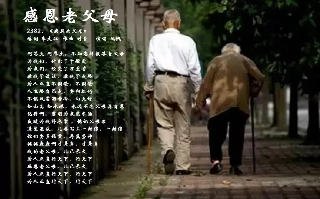 感恩老父母