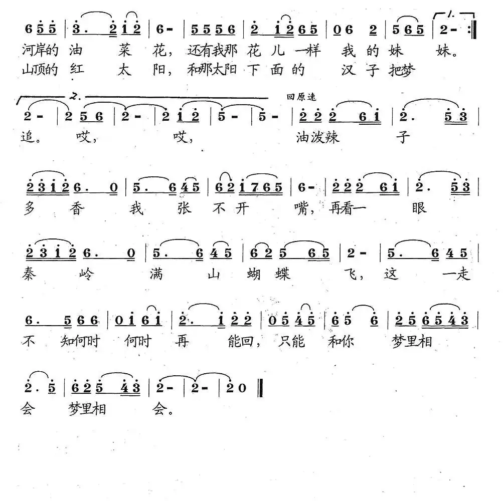 想念我的大西北(李庆文词 张遇良曲)