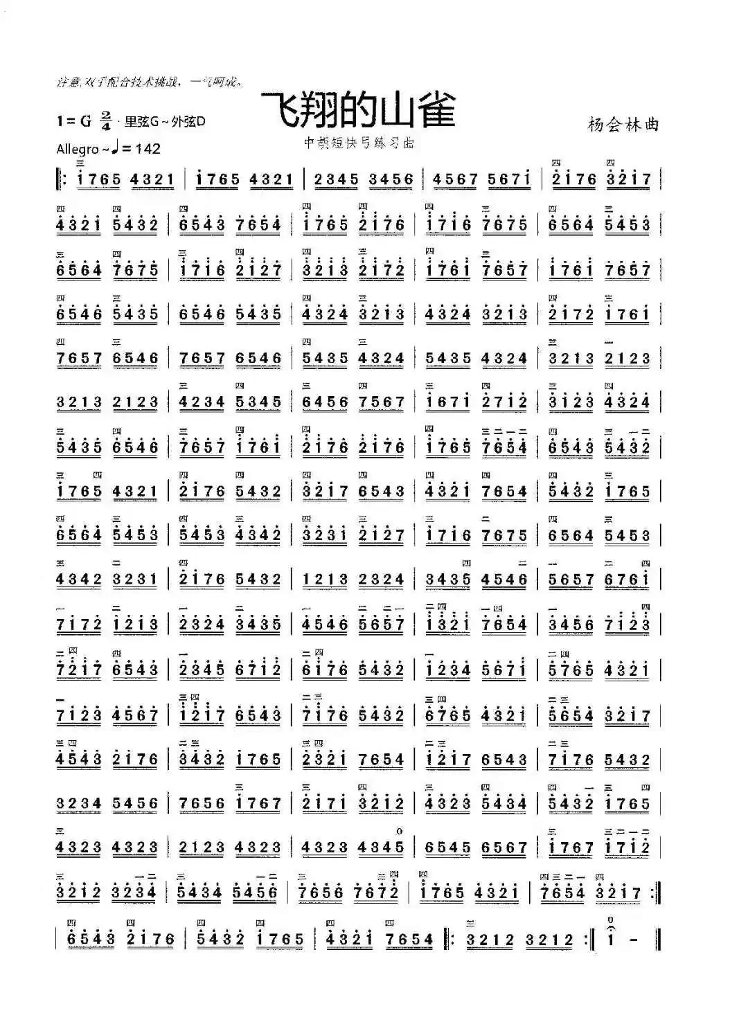飞翔的山雀(中胡短快弓练习曲)